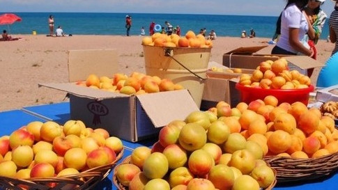 Главное фото