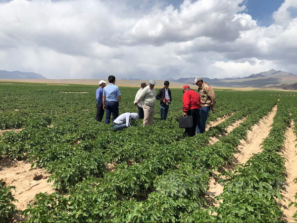 Главное фото