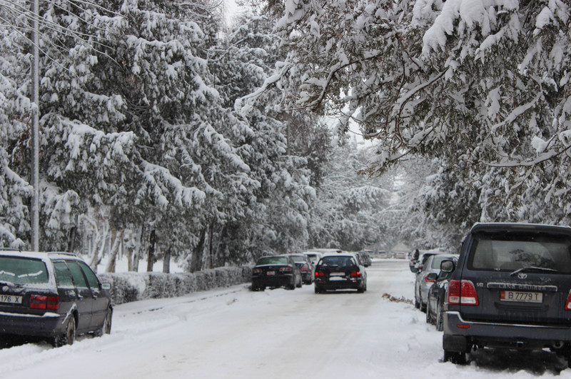 Главное фото