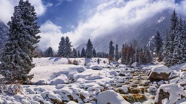 Главное фото