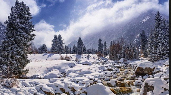 Главное фото