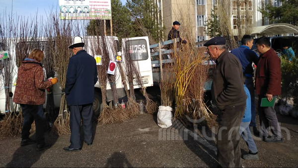 Главное фото