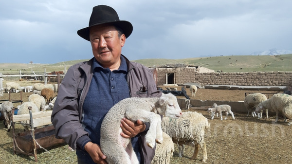 Главное фото