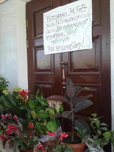 Главное фото