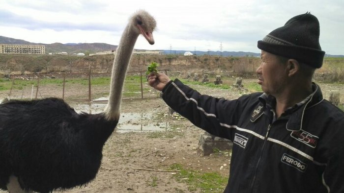 Главное фото