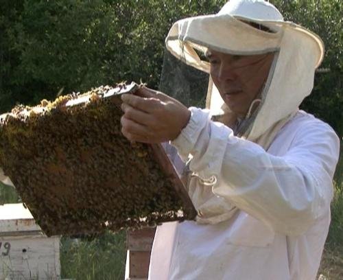 Главное фото