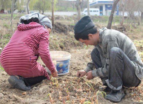 Главное фото