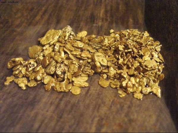 Комиссия Госгеологии решила выдать лицензии 4 компаниям на разведку россыпного золота &mdash; Tazabek