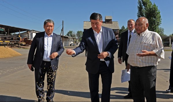 Премьер С.Жээнбеков поручил госорганам рассмотреть вопрос отчисления налоговых и соцплатежей сельхозкооперативами &mdash; Tazabek