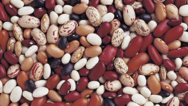 В Таласской области идет строительство 2 заводов по упаковке фасоли, - правительство &mdash; Tazabek