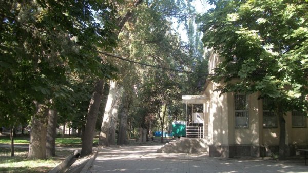 Главное фото