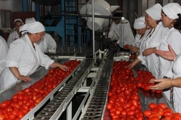 За 3 месяца представители перерабатывающих предприятий из 4 областей подписали соглашения на $5,4 млн — Tazabek