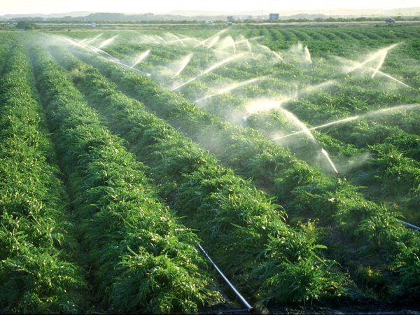 Минсельхоз предлагает одобрить проект развития ирригационной системы Сарымсака на $16,4 млн &mdash; Tazabek