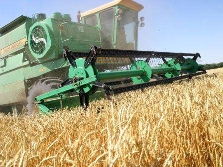 ТОП-10 проблем в сельском хозяйстве, которые приводят к неиспользованию экспортного потенциала Кыргызстана — Tazabek