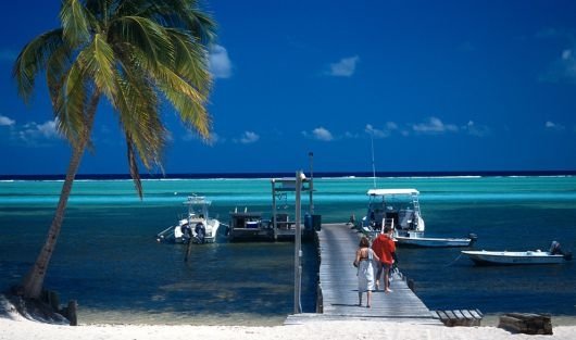 Уход от налогов: Какие схемы использовали Google,  Facebook, Apple, Microsoft, Amazon, Cocа Cola &mdash; Tazabek