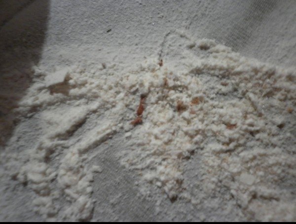 По факту зараженной муки сотрудникам лаборатории и склада Фонда госматрезервов объявлен выговор &mdash; Tazabek