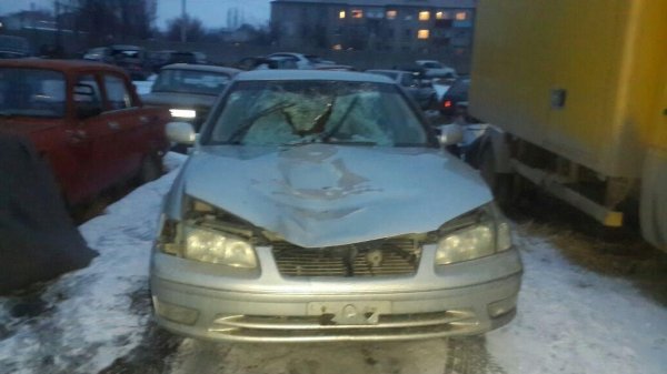 Главное фото