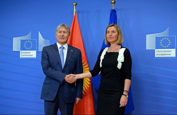 Главное фото