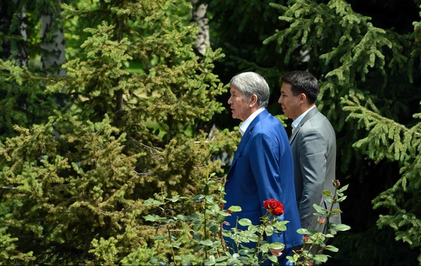 Главное фото