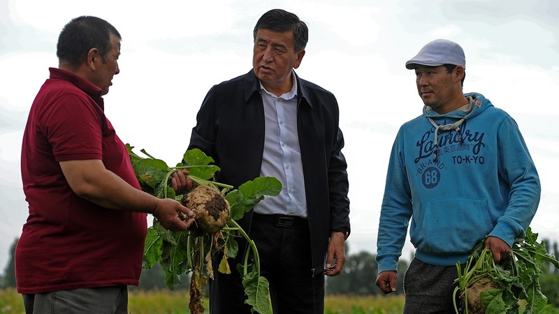 Модернизация заводов &laquo;Кошой&raquo; и &laquo;Каинды-Кант&raquo; полностью решит проблему сбыта сахарной свеклы, - С.Жээнбеков &mdash; Tazabek