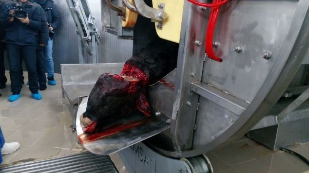 Большая мясорубка &mdash; Владельцы более 100 убойных цехов, в числе которых А.Мадумаров, А.Мамытов и компания Ympaş (адреса, площадь+мощность цехов) &mdash; Tazabek