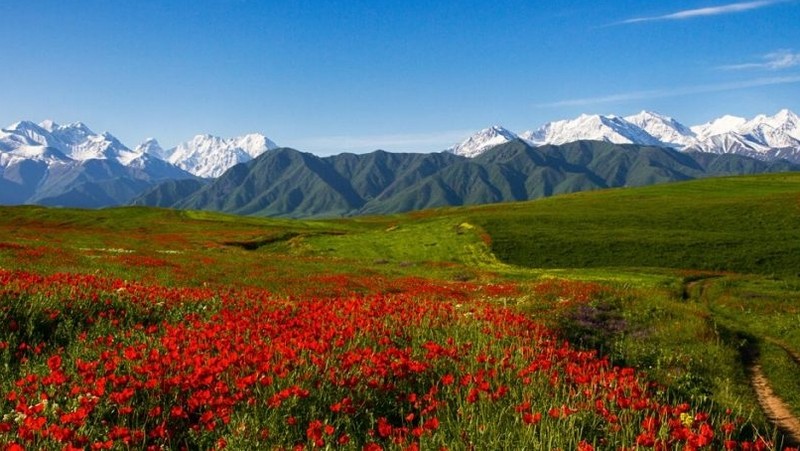 Департамент туризма определит туристические зоны в каждой области Кыргызстана &mdash; Tazabek