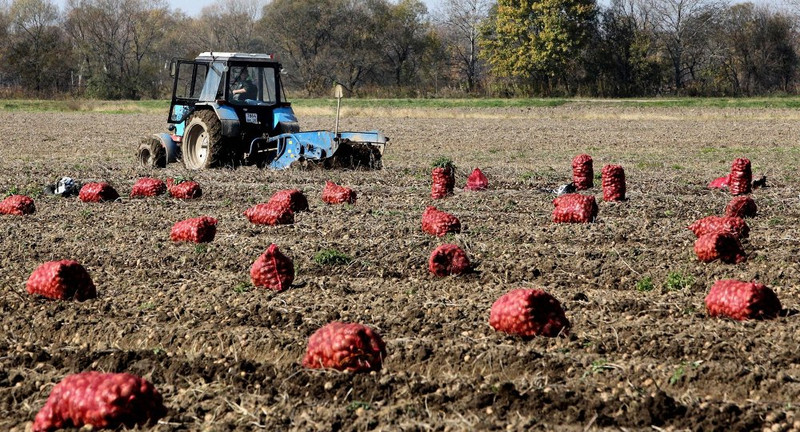 Направление устойчивого развития сельхозотрасли ЕАЭС основано на адаптации к климатическим условиям, - ЕЭК &mdash; Tazabek