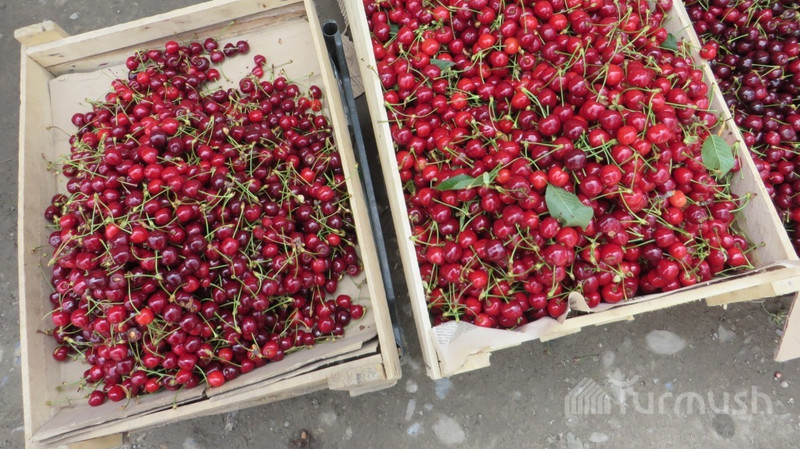 Предлагается создать товарно-сырьевую биржу для продвижения сельхозпродукции КР, - замглавы Госфиннадзора М.Абиров &mdash; Tazabek