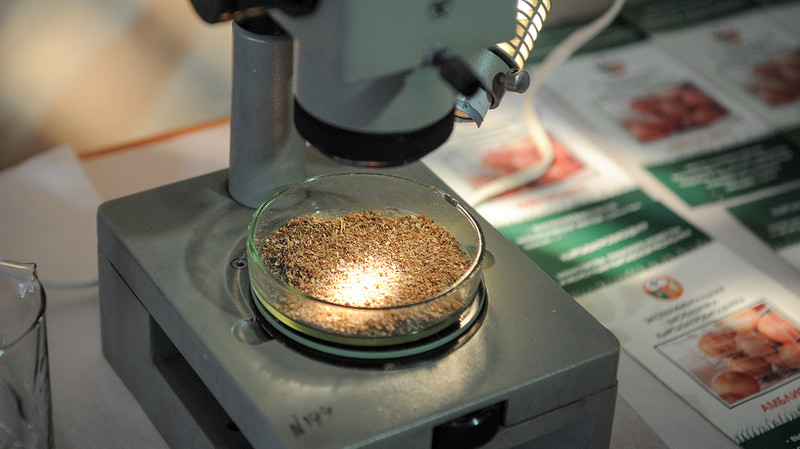 Перечень семеноводческих хозяйств, прошедших регистрацию, будет утверждаться правительством &mdash; Tazabek