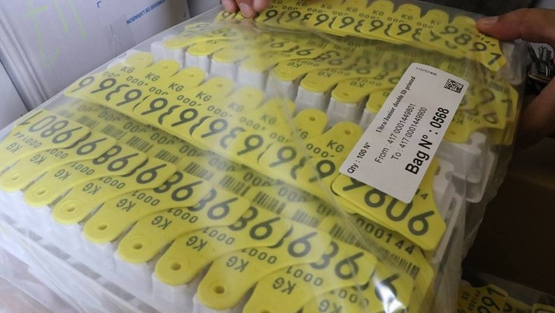 Из 2,4 млн ушных бирок в Кыргызстане на сегодня 1,6 млн крупно-рогатого скота проидентифицировано, - Госветинспекция &mdash; Tazabek