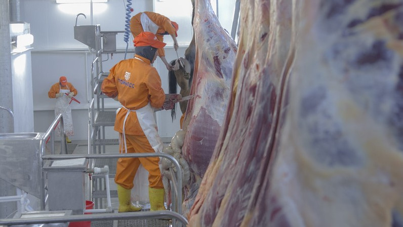 Агробизнес: Убойные цеха Кыргызстана (владельцы, отчисления) &mdash; Tazabek