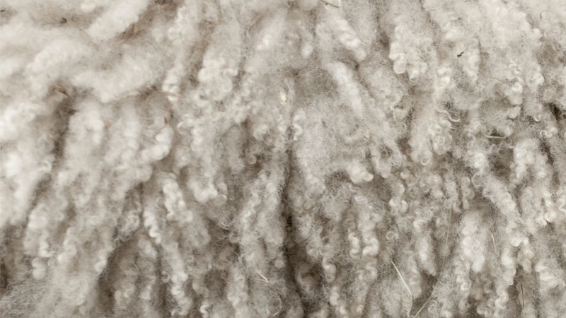 Беларусь заинтересована в поставке шерсти из Кыргызстана, - зампредседателя ГКПЭН &mdash; Tazabek