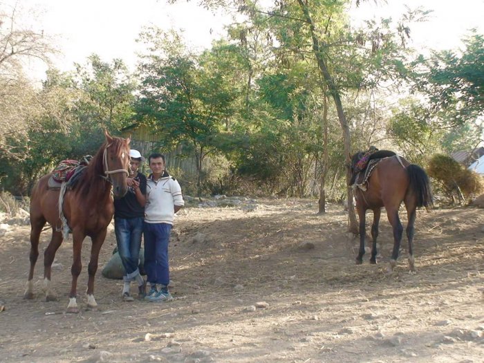 Главное фото