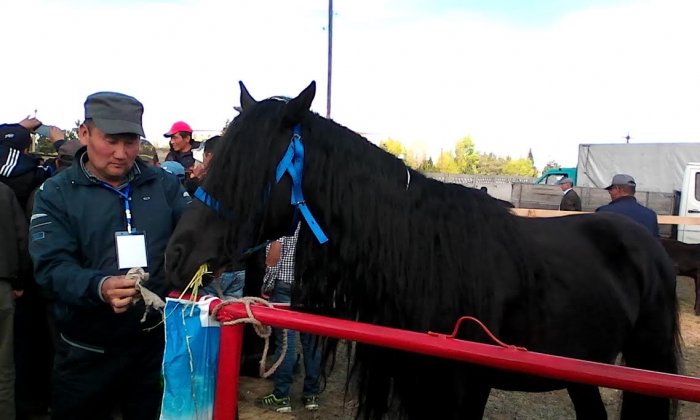 Главное фото