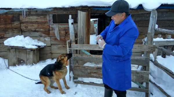 Главное фото