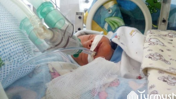 Главное фото