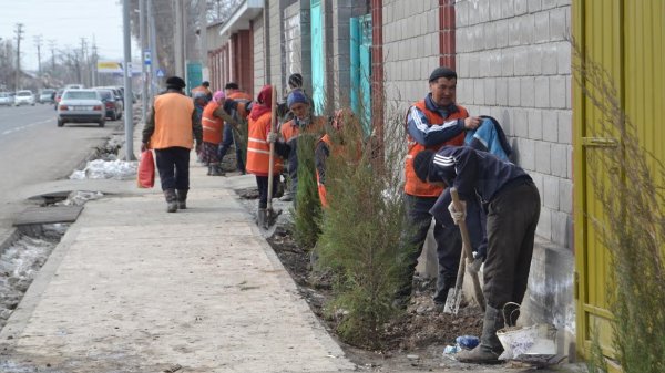 Главное фото