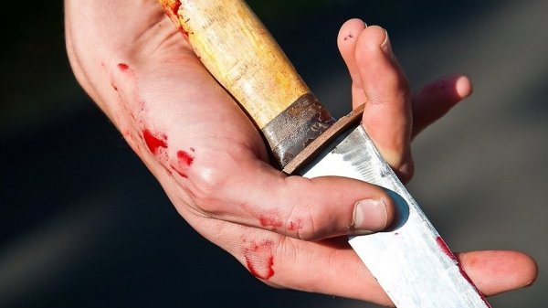 Главное фото