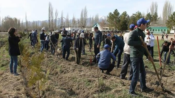 Главное фото