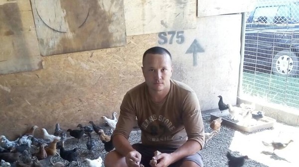 Главное фото