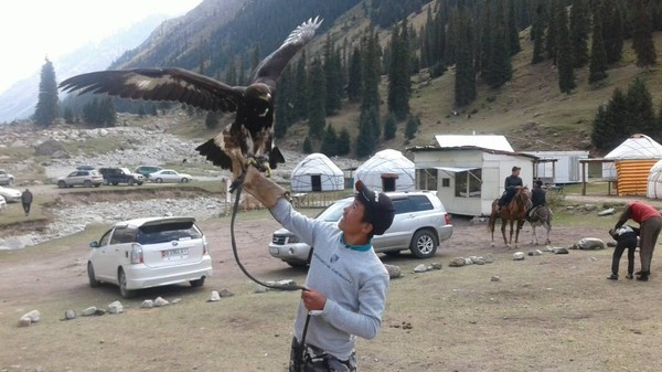 Главное фото