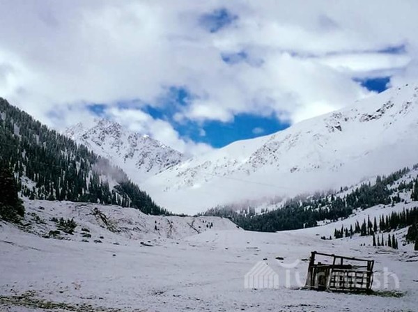 Главное фото