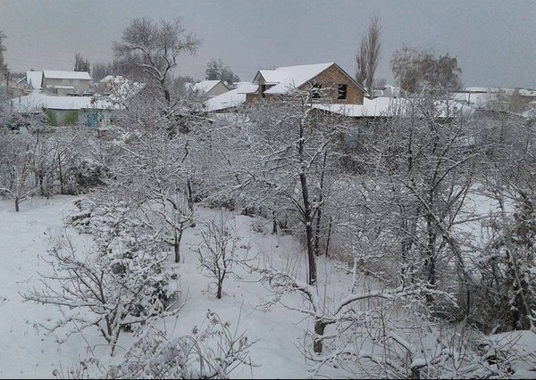 Главное фото