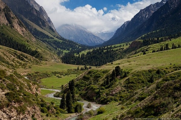 Главное фото