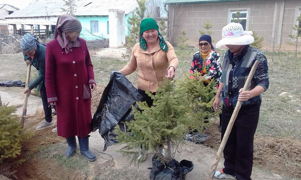 Главное фото