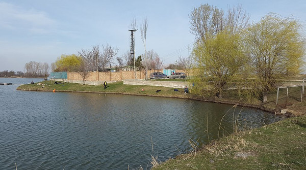 Главное фото