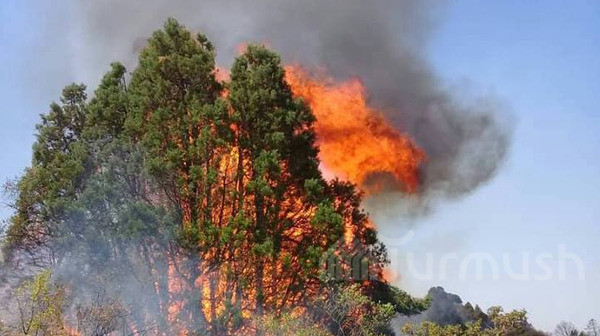 Главное фото
