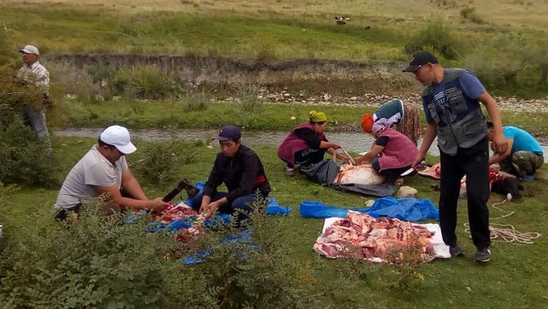 Главное фото