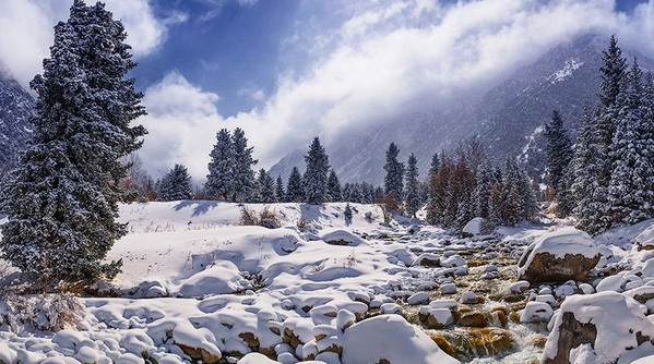 Главное фото