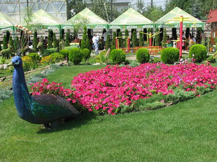 Главное фото